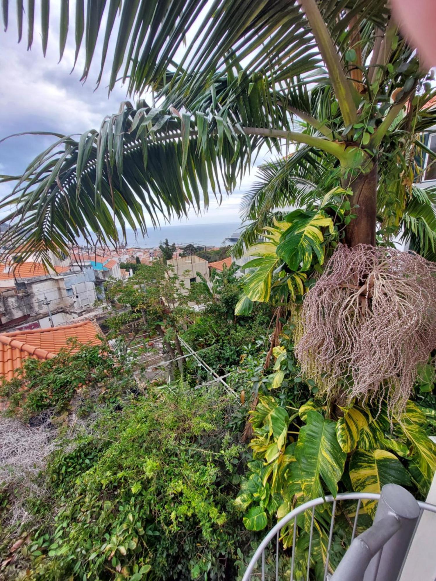 Casa Pico Musica Lägenhet Funchal  Exteriör bild